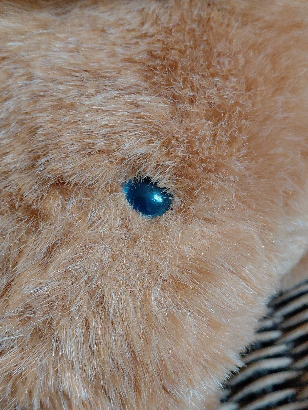 1984 'Bearman Of The Board' North American Bear Company Teddy Bear - Picture 7 of 10